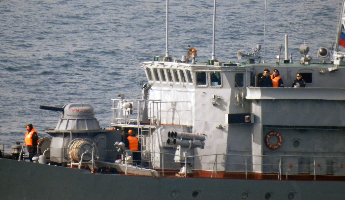 Russian Navy's Natya Class Seagoing Minesweeper Valentin Pikul 770 of 184th Novorossiysk Coastal Defense Brigade southbound on the Bosphorus  