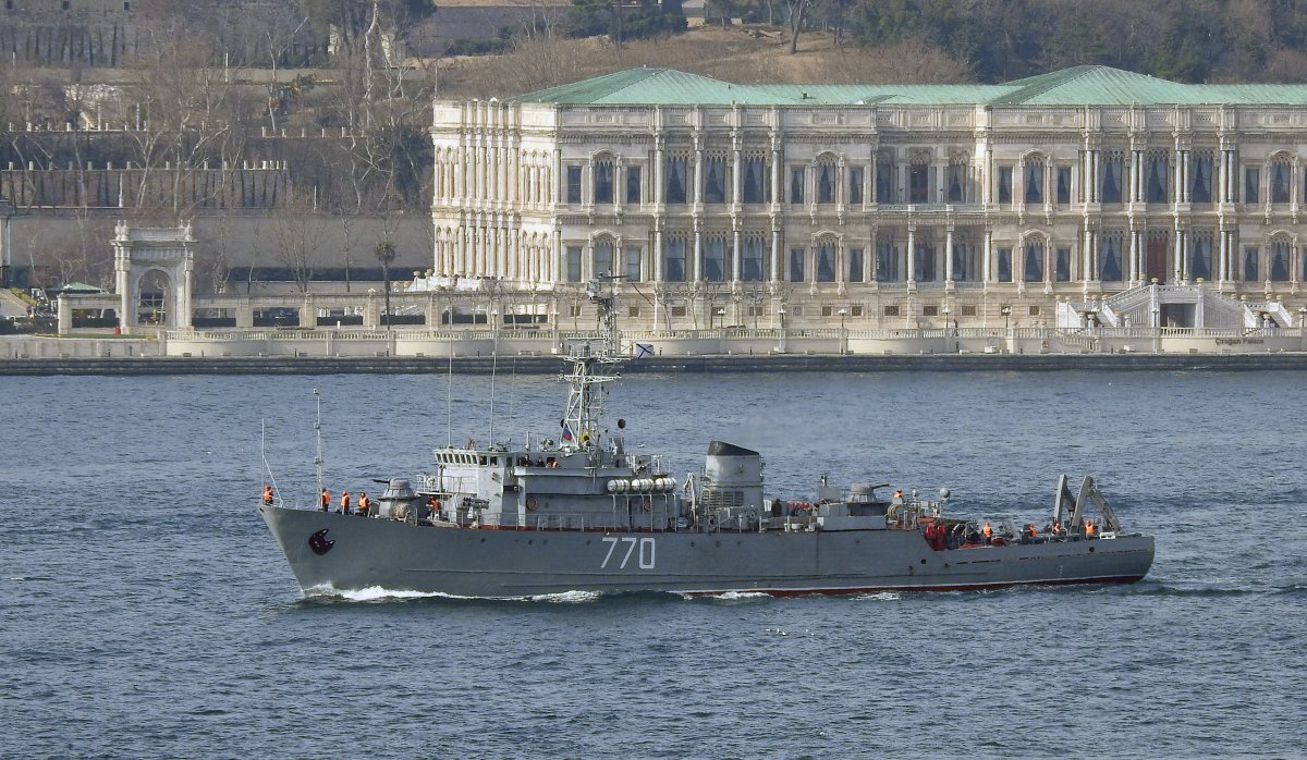 Russian Navy's Natya Class Seagoing Minesweeper Valentin Pikul 770 of 184th Novorossiysk Coastal Defense Brigade southbound on the Bosphorus  