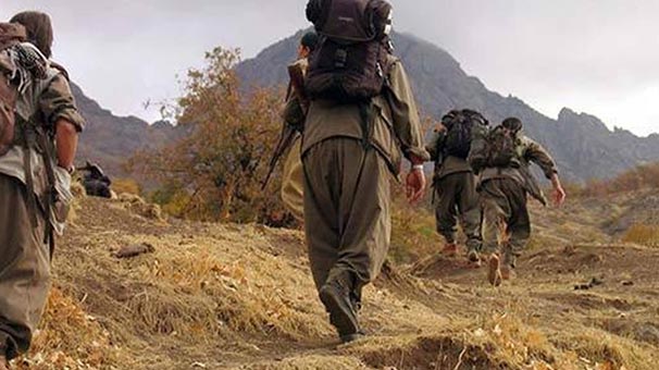 2 suspected PKK members were neutralized in special operation in Lice district of Diyarbakir